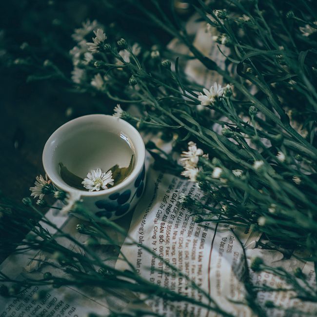 Green Tea (25 Bags)